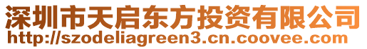 深圳市天啟東方投資有限公司