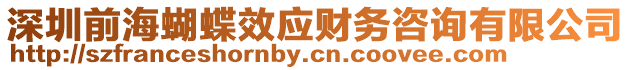 深圳前海蝴蝶效應(yīng)財務(wù)咨詢有限公司