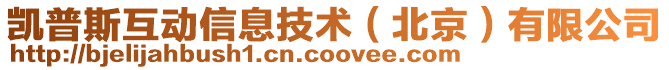 凱普斯互動信息技術(北京)有限公司