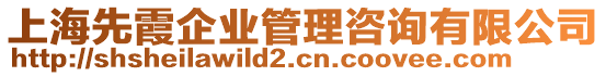 上海先霞企業(yè)管理咨詢有限公司