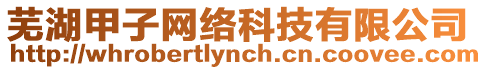 蕪湖甲子網絡科技有限公司