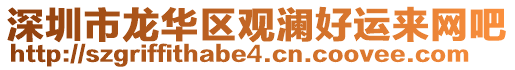 深圳市龍華區(qū)觀瀾好運(yùn)來網(wǎng)吧