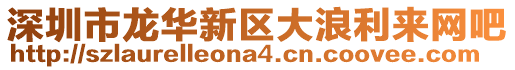 深圳市龍華新區(qū)大浪利來網(wǎng)吧