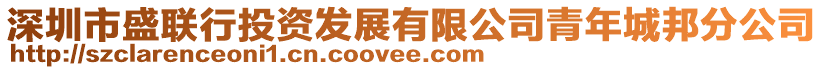 深圳市盛聯(lián)行投資發(fā)展有限公司青年城邦分公司