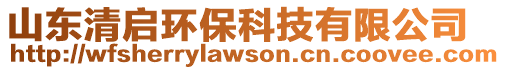 山東清啟環保科技有限公司