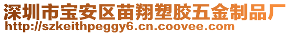 深圳市寶安區(qū)苗翔塑膠五金制品廠