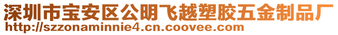 深圳市寶安區(qū)公明飛越塑膠五金制品廠