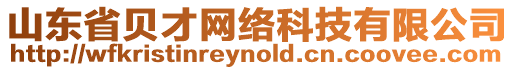 山東省貝才網(wǎng)絡(luò)科技有限公司