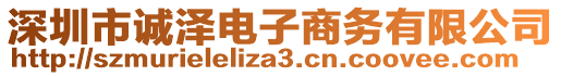 深圳市誠澤電子商務(wù)有限公司