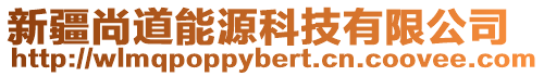 新疆尚道能源科技有限公司