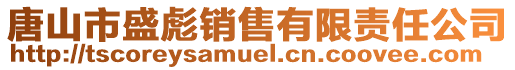 唐山市盛彪銷售有限責任公司