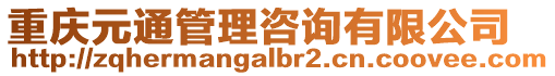 重慶元通管理咨詢有限公司
