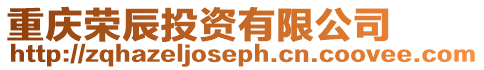 重慶榮辰投資有限公司