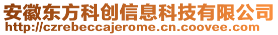 安徽東方科創信息科技有限公司