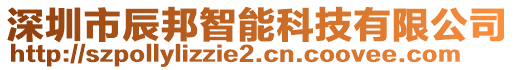 深圳市辰邦智能科技有限公司