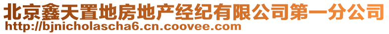 北京鑫天置地房地產經紀有限公司第一分公司