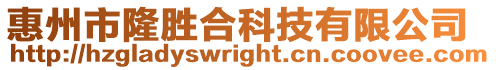 惠州市隆勝合科技有限公司
