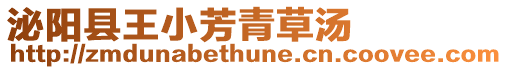 泌陽縣王小芳青草湯