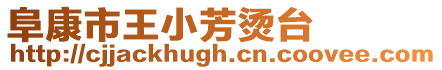 阜康市王小芳燙臺