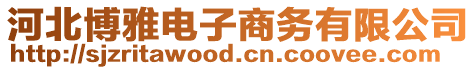 河北博雅電子商務有限公司