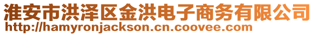 淮安市洪澤區(qū)金洪電子商務(wù)有限公司