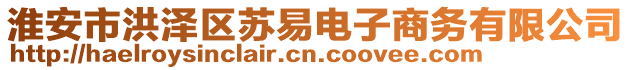 淮安市洪澤區(qū)蘇易電子商務有限公司