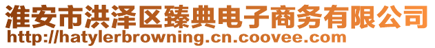 淮安市洪澤區臻典電子商務有限公司