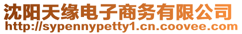 沈陽天緣電子商務有限公司