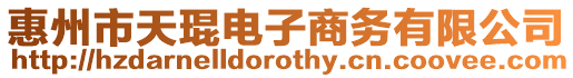 惠州市天琨電子商務(wù)有限公司