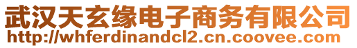 武漢天玄緣電子商務有限公司