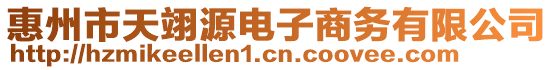 惠州市天翊源電子商務(wù)有限公司