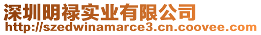 深圳明祿實業(yè)有限公司
