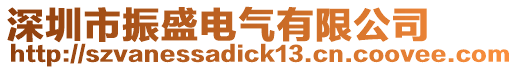 深圳市振盛電氣有限公司