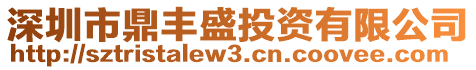 深圳市鼎豐盛投資有限公司