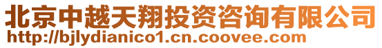 北京中越天翔投資咨詢有限公司