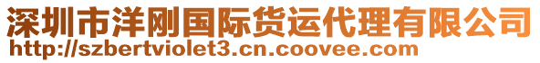 深圳市洋剛國際貨運(yùn)代理有限公司