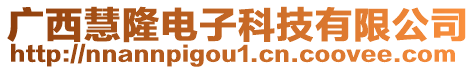 廣西慧隆電子科技有限公司