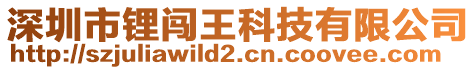 深圳市鋰闖王科技有限公司