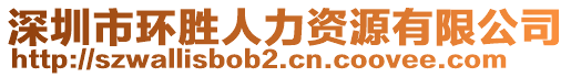 深圳市環(huán)勝人力資源有限公司