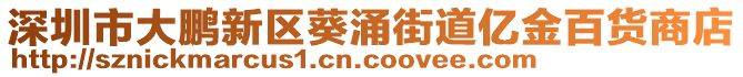 深圳市大鵬新區葵涌街道億金百貨商店