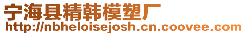 寧海縣精韓模塑廠