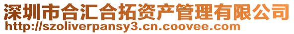 深圳市合匯合拓資產管理有限公司