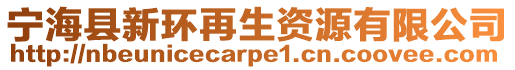寧海縣新環再生資源有限公司