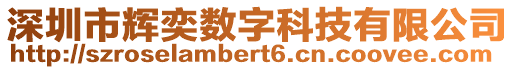 深圳市輝奕數字科技有限公司