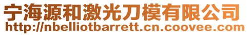 寧海源和激光刀模有限公司