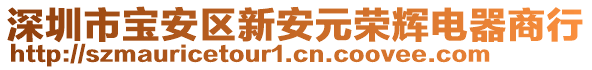 深圳市寶安區新安元榮輝電器商行