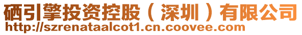 硒引擎投資控股（深圳）有限公司