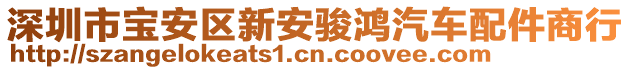 深圳市寶安區(qū)新安駿鴻汽車配件商行
