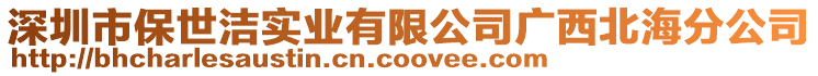 深圳市保世潔實業有限公司廣西北海分公司