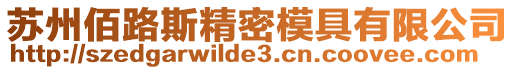 蘇州佰路斯精密模具有限公司